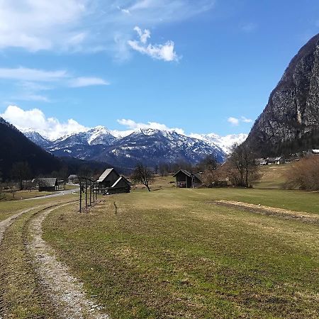 Apartments & Rooms Stare Bohinj ภายนอก รูปภาพ