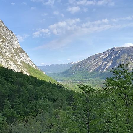 Apartments & Rooms Stare Bohinj ภายนอก รูปภาพ