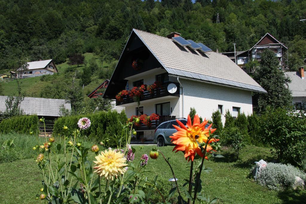 Apartments & Rooms Stare Bohinj ภายนอก รูปภาพ