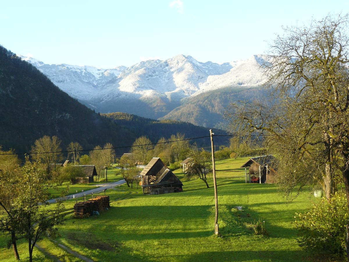 Apartments & Rooms Stare Bohinj ภายนอก รูปภาพ