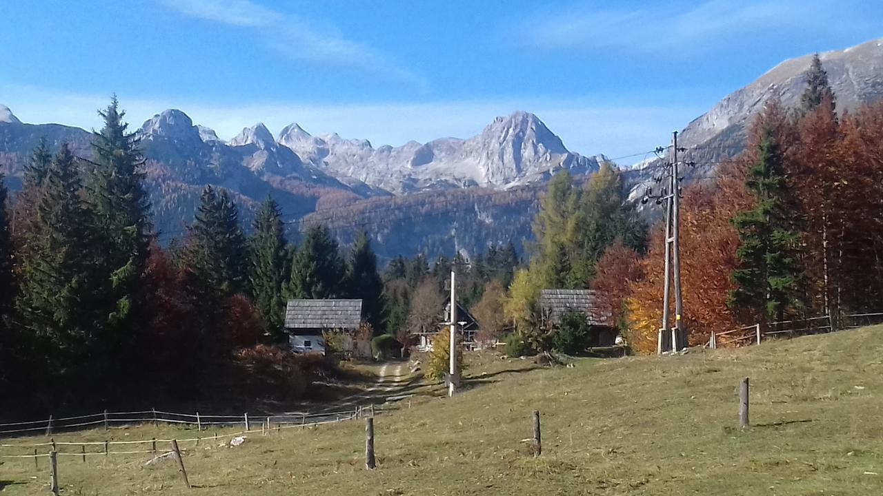 Apartments & Rooms Stare Bohinj ภายนอก รูปภาพ
