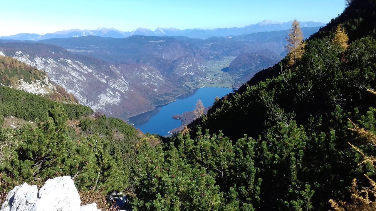 Apartments & Rooms Stare Bohinj ภายนอก รูปภาพ