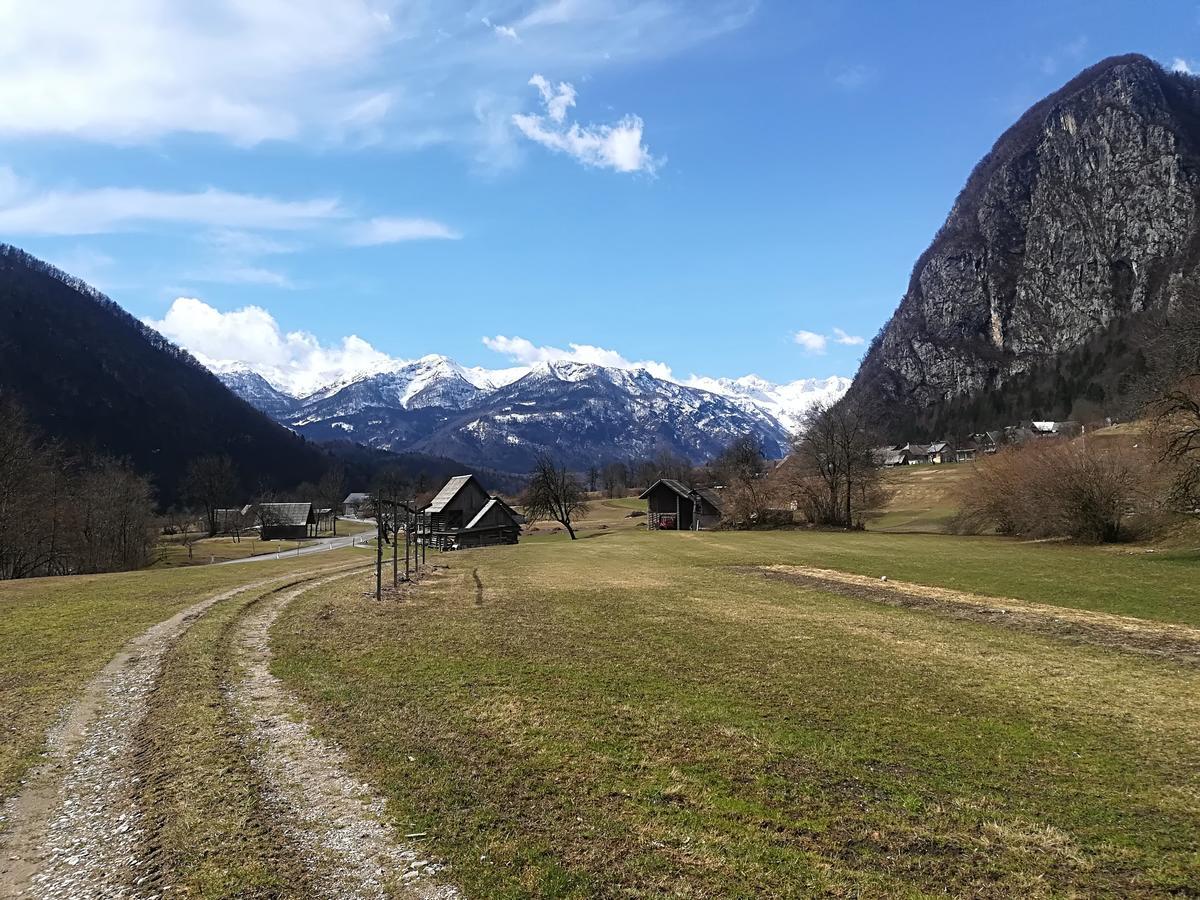 Apartments & Rooms Stare Bohinj ภายนอก รูปภาพ