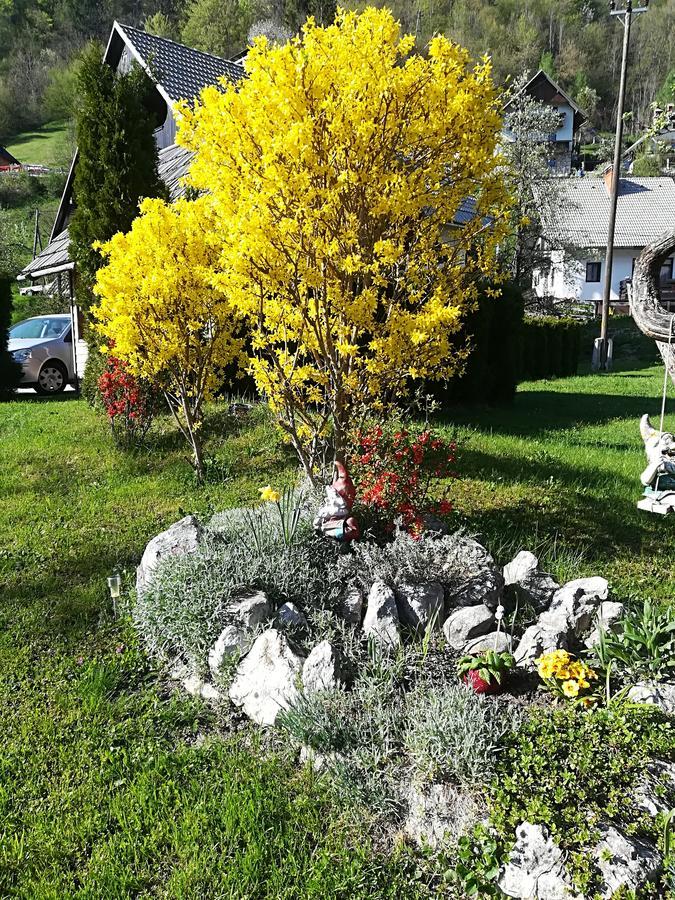 Apartments & Rooms Stare Bohinj ภายนอก รูปภาพ