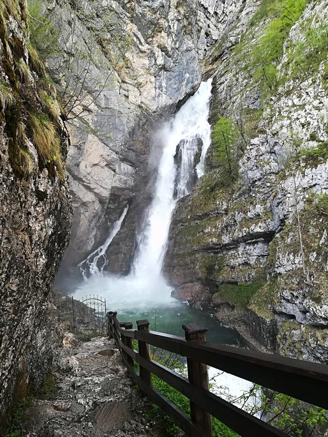 Apartments & Rooms Stare Bohinj ภายนอก รูปภาพ