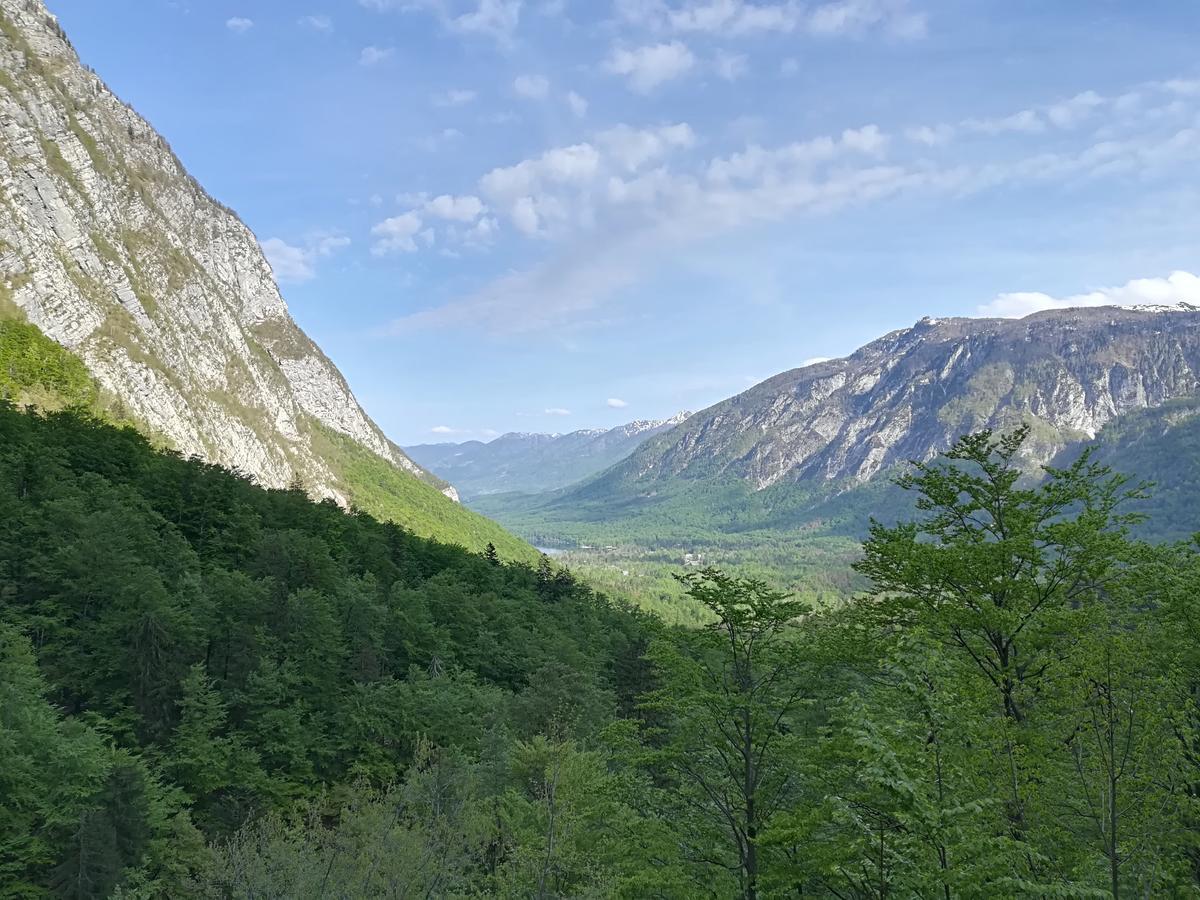 Apartments & Rooms Stare Bohinj ภายนอก รูปภาพ